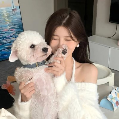 布公仔之金银岛